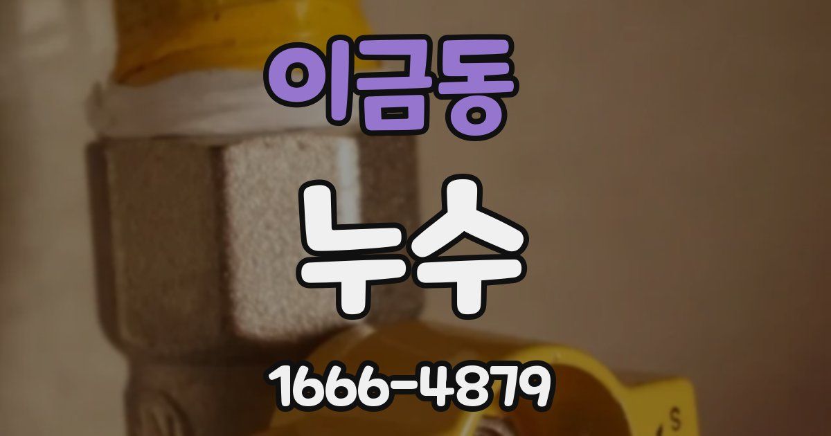 이금동 누수
