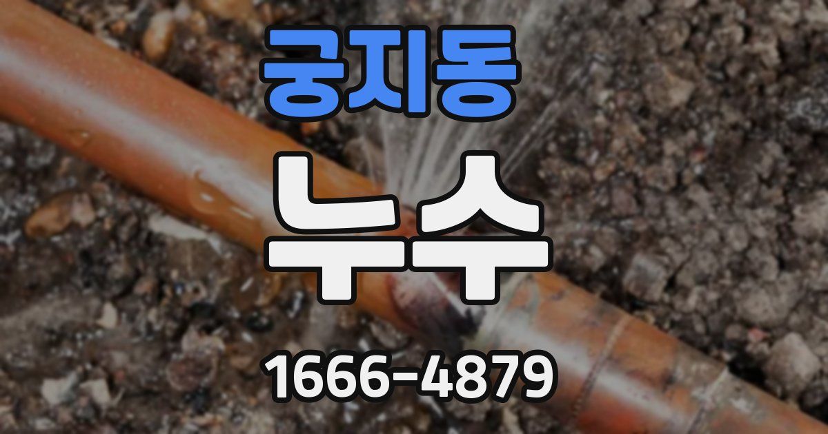 궁지동 누수