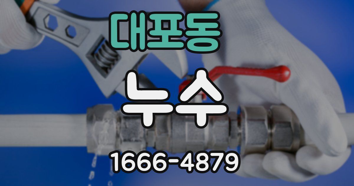 대포동 누수