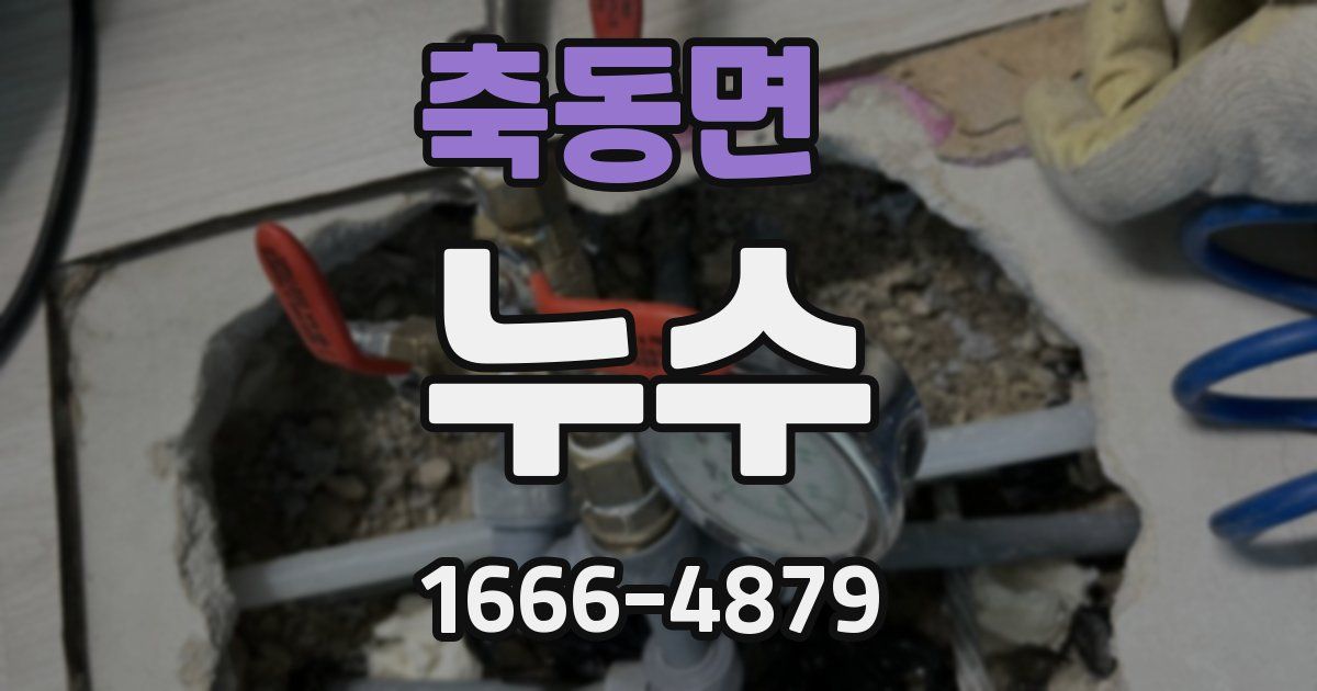 축동면 누수