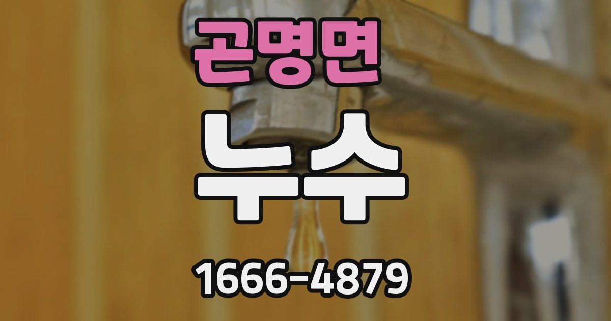 곤명면 누수