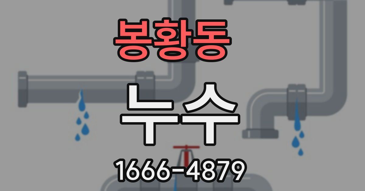 봉황동 누수