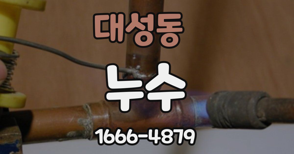 대성동 누수