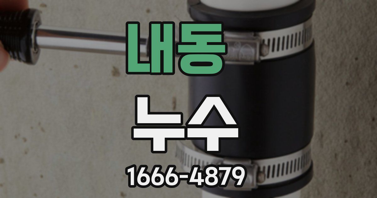 내동 누수