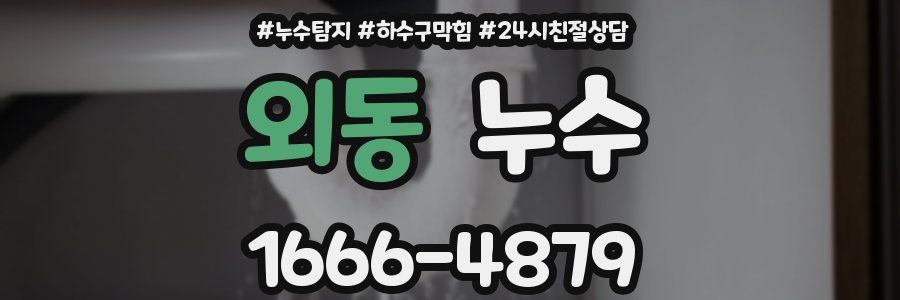 외동 누수