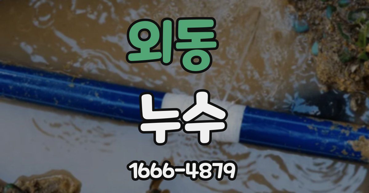 외동 누수