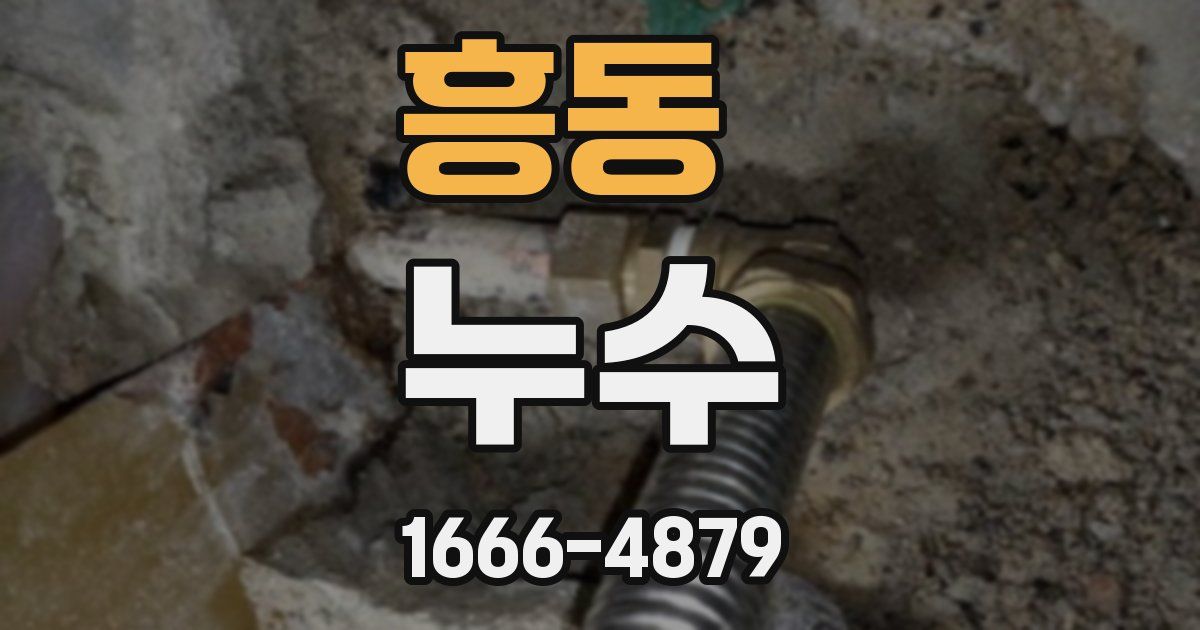 흥동 누수