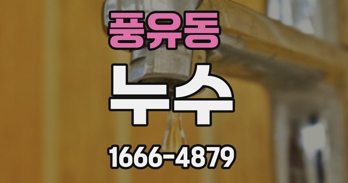 풍유동 누수