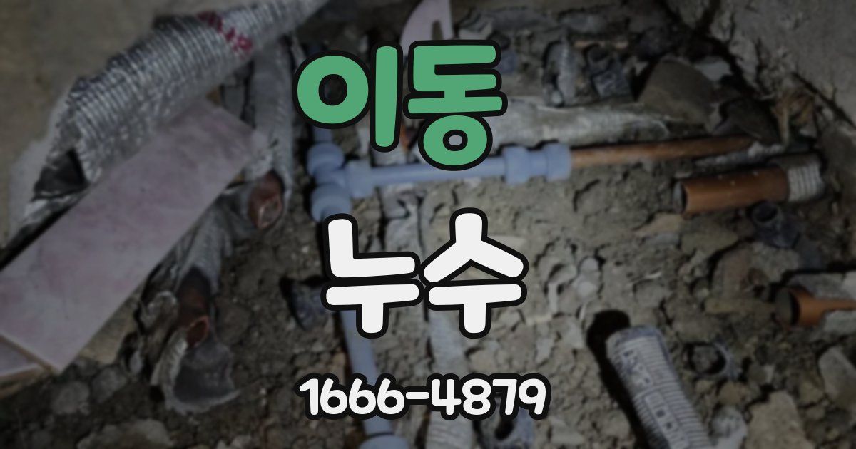 이동 누수