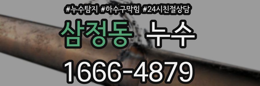 삼정동 누수