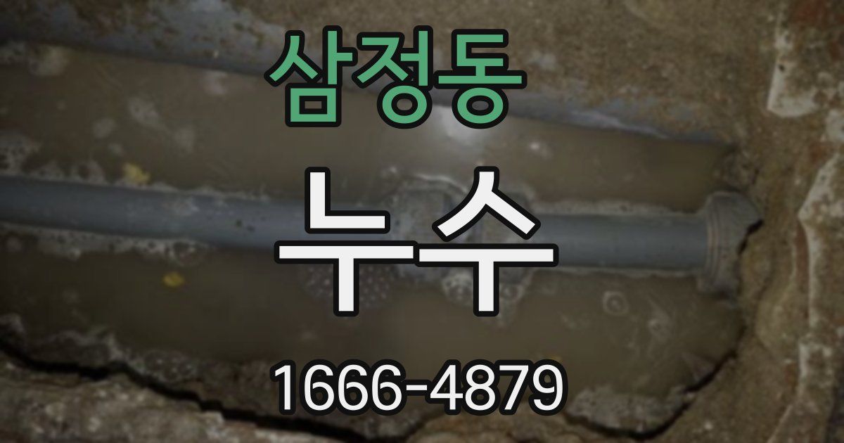삼정동 누수