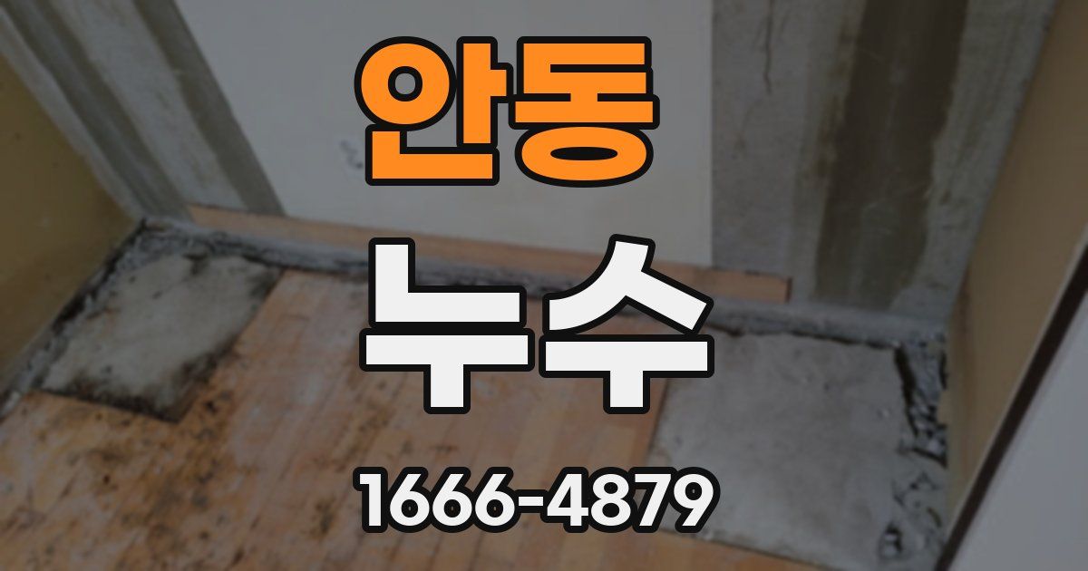 안동 누수