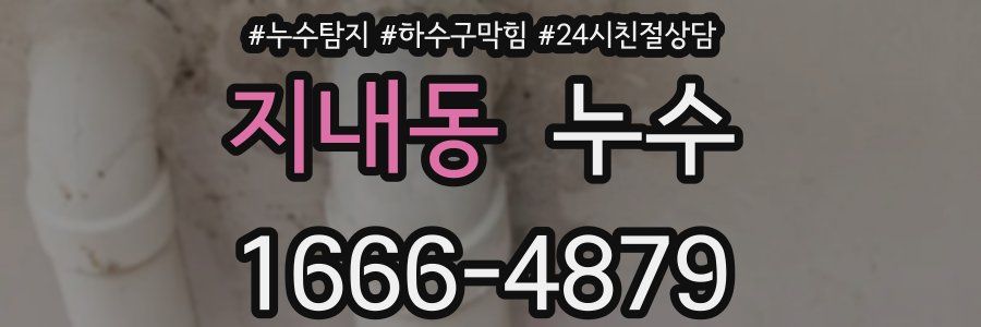 지내동 누수