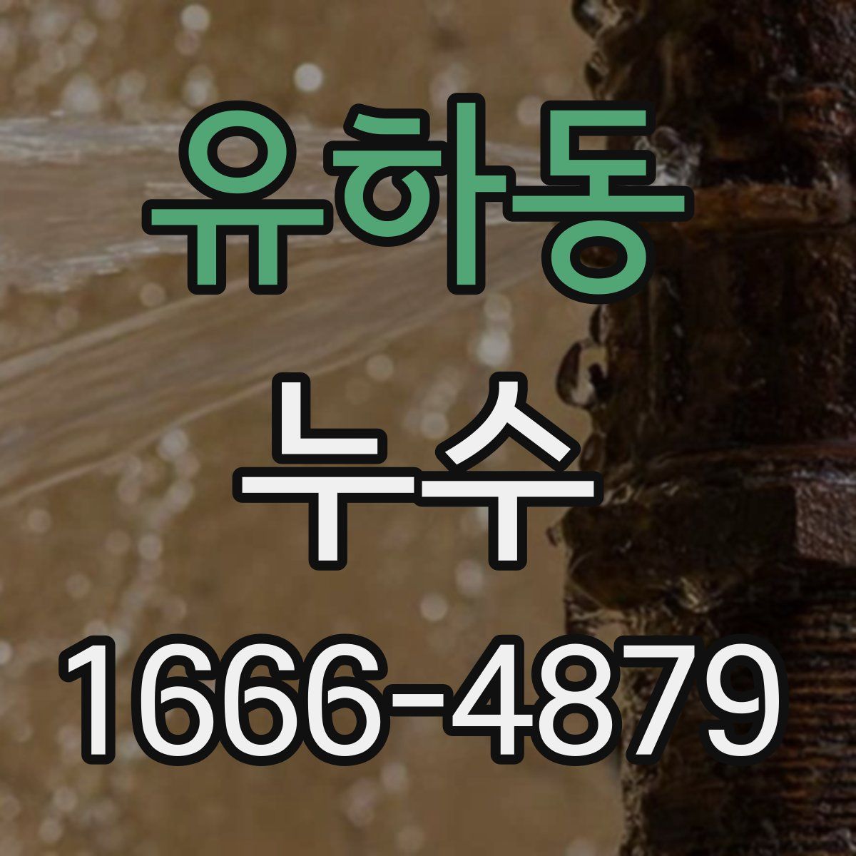 유하동 누수