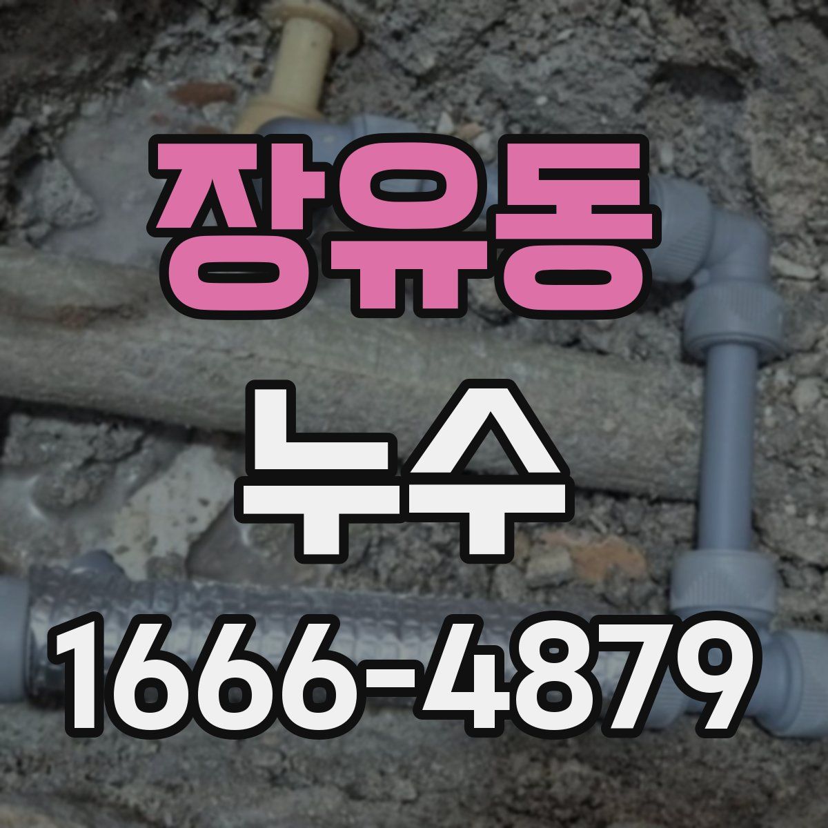 장유동 누수