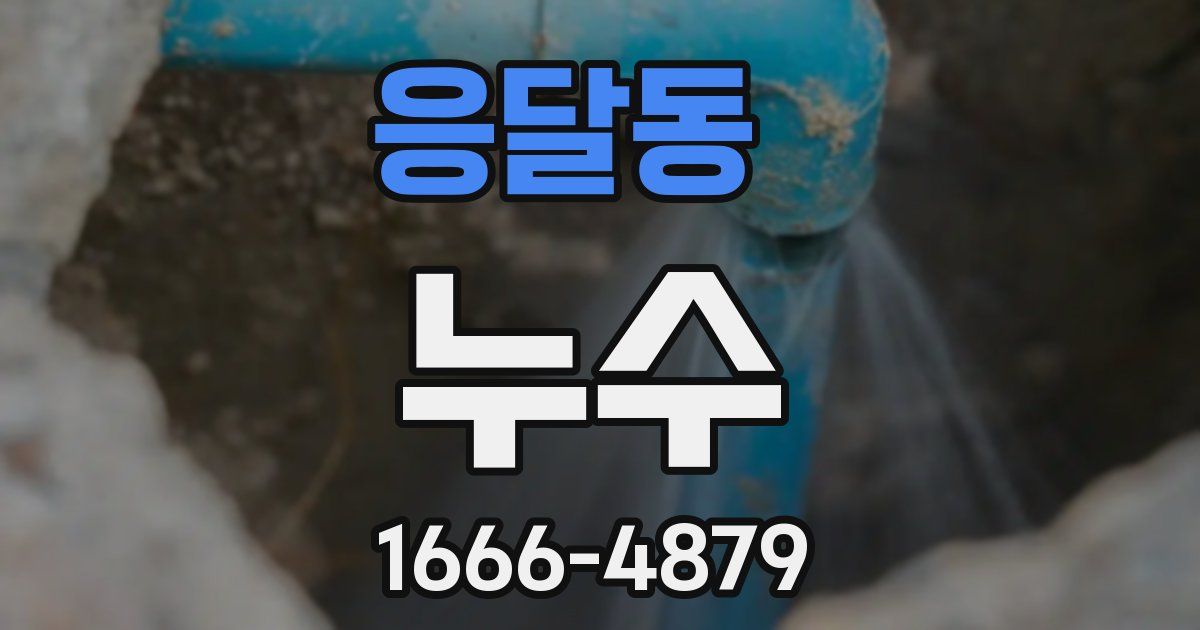 응달동 누수