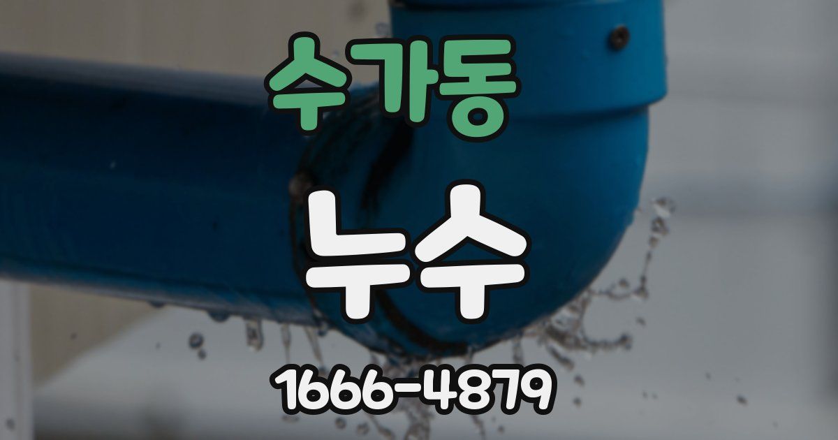수가동 누수