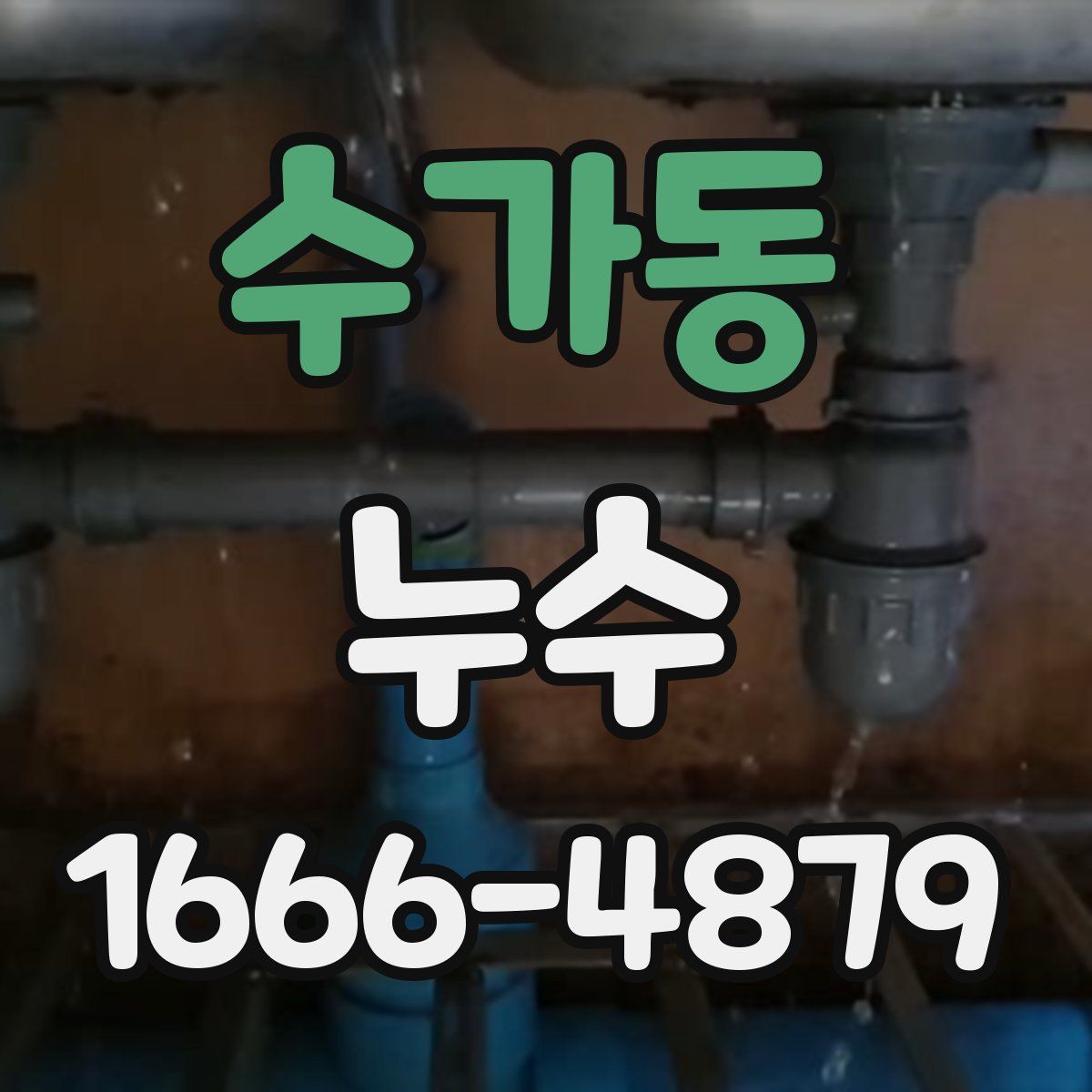 수가동 누수