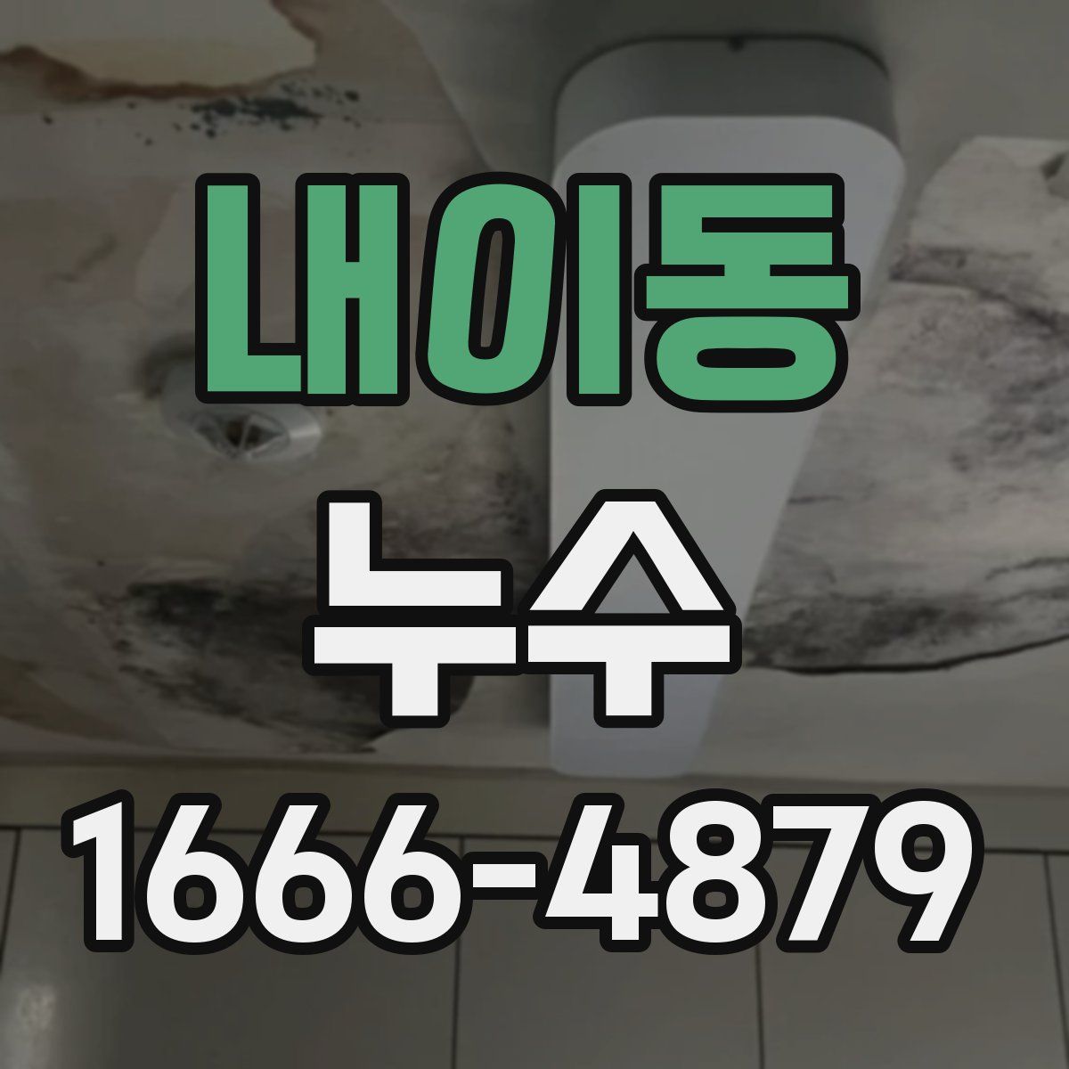 내이동 누수
