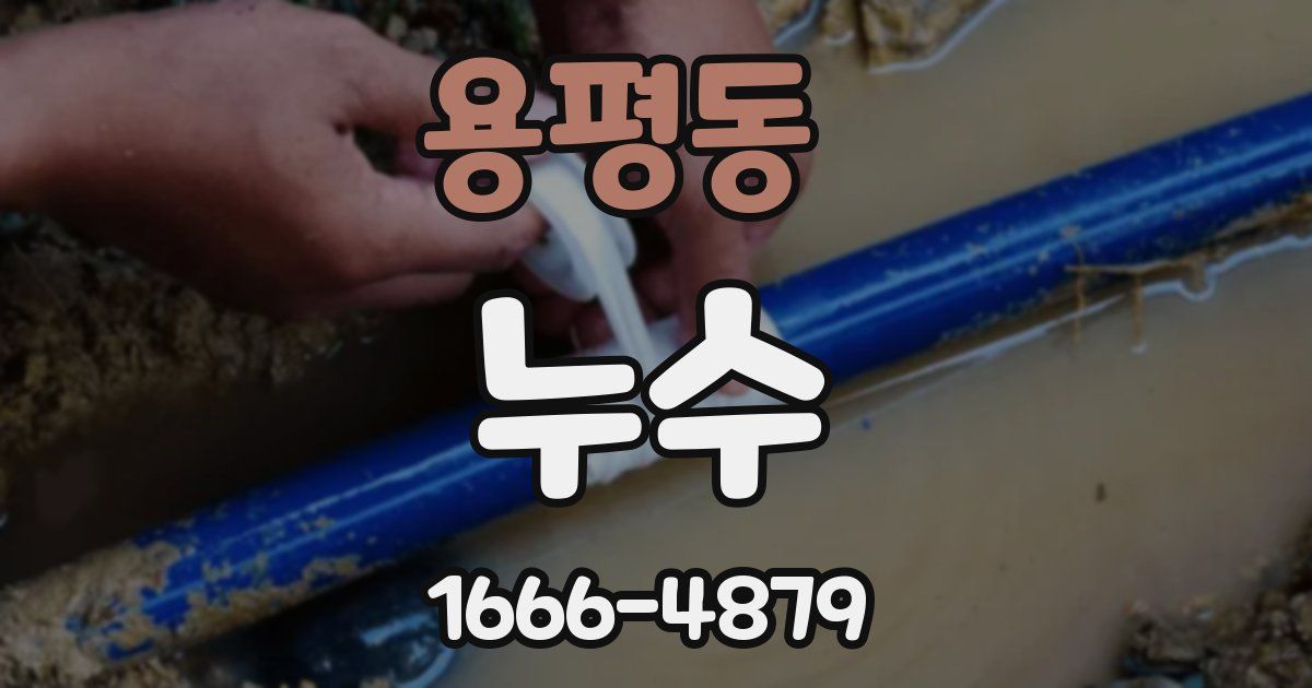 용평동 누수