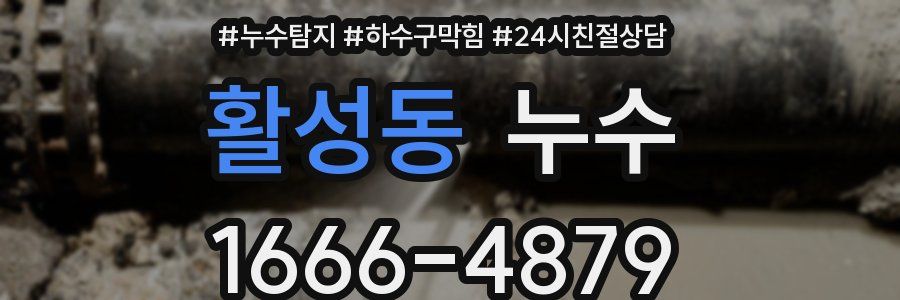 활성동 누수