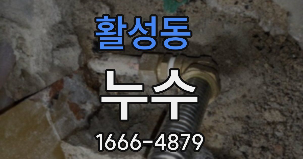 활성동 누수