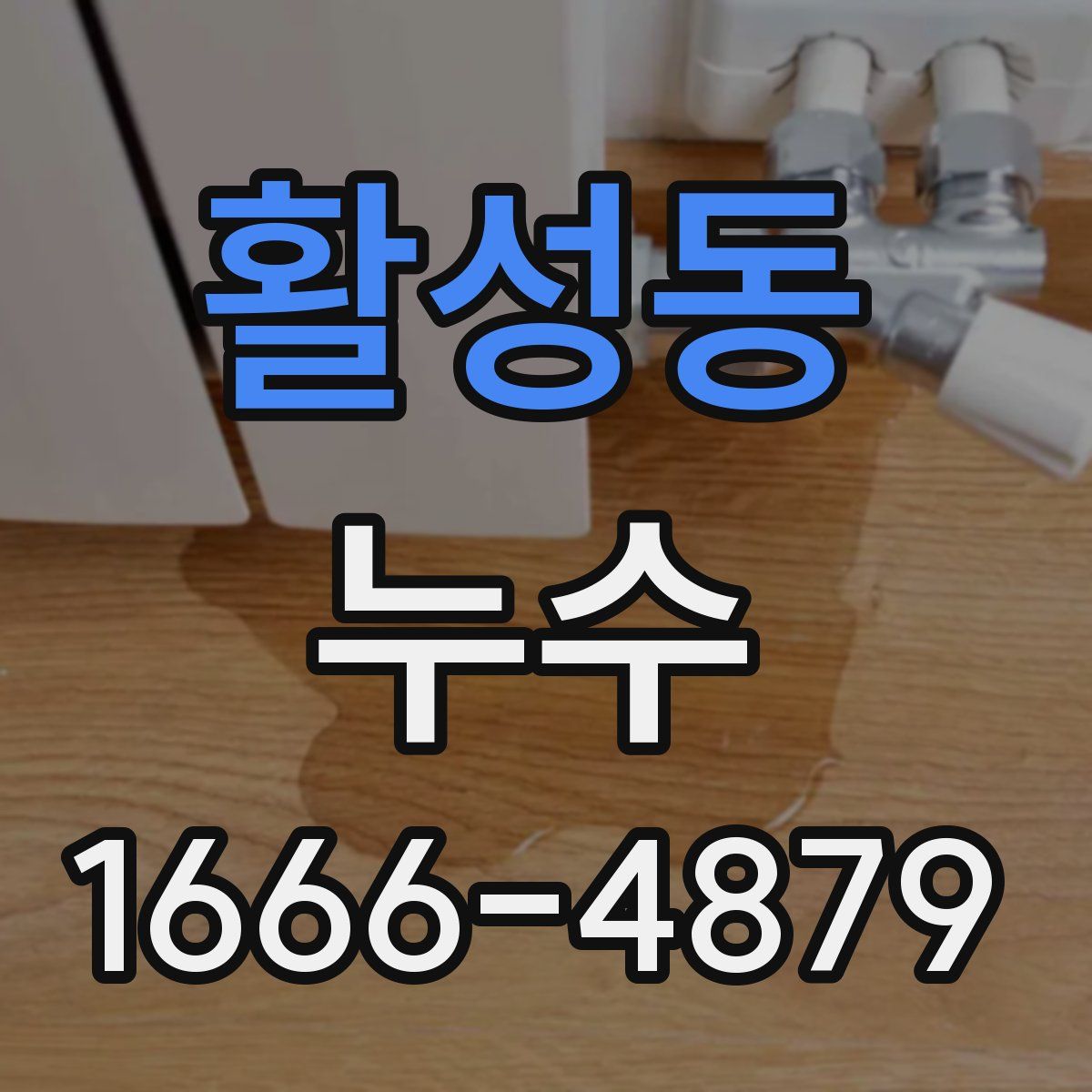 활성동 누수