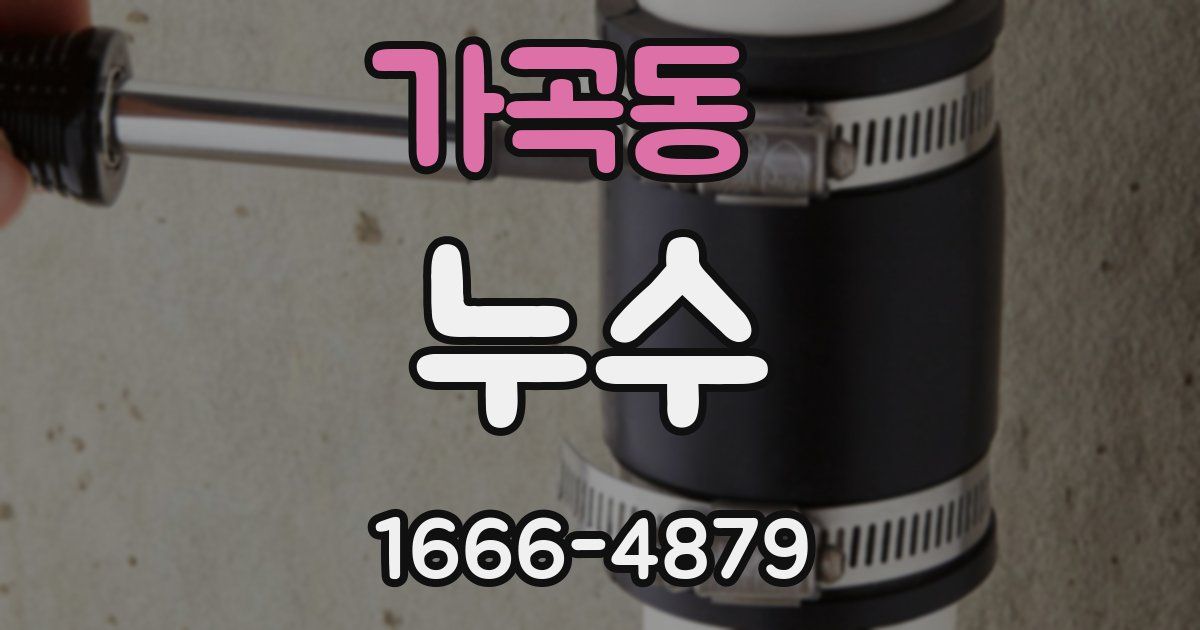 가곡동 누수