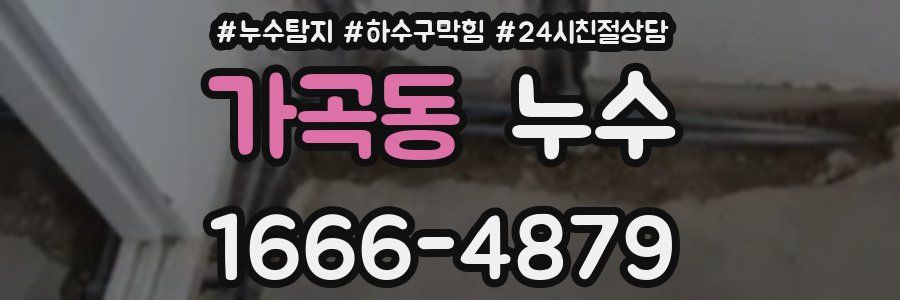 가곡동 누수