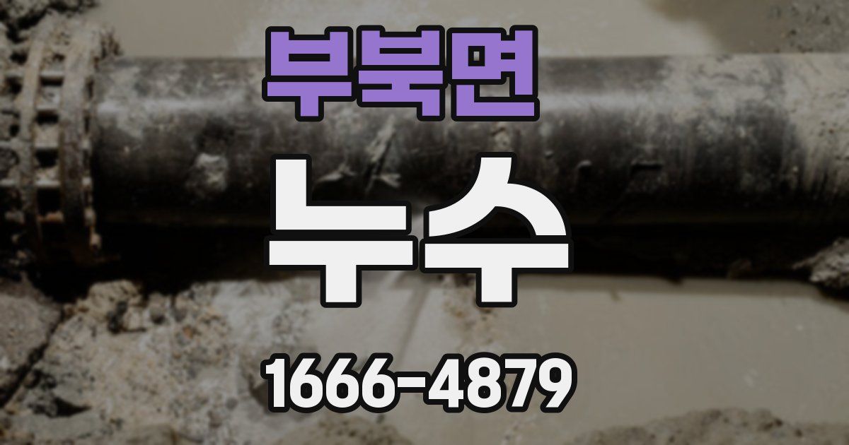 부북면 누수