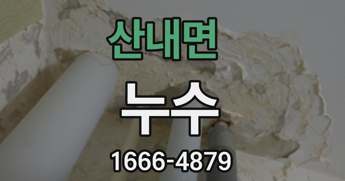 산내면 누수