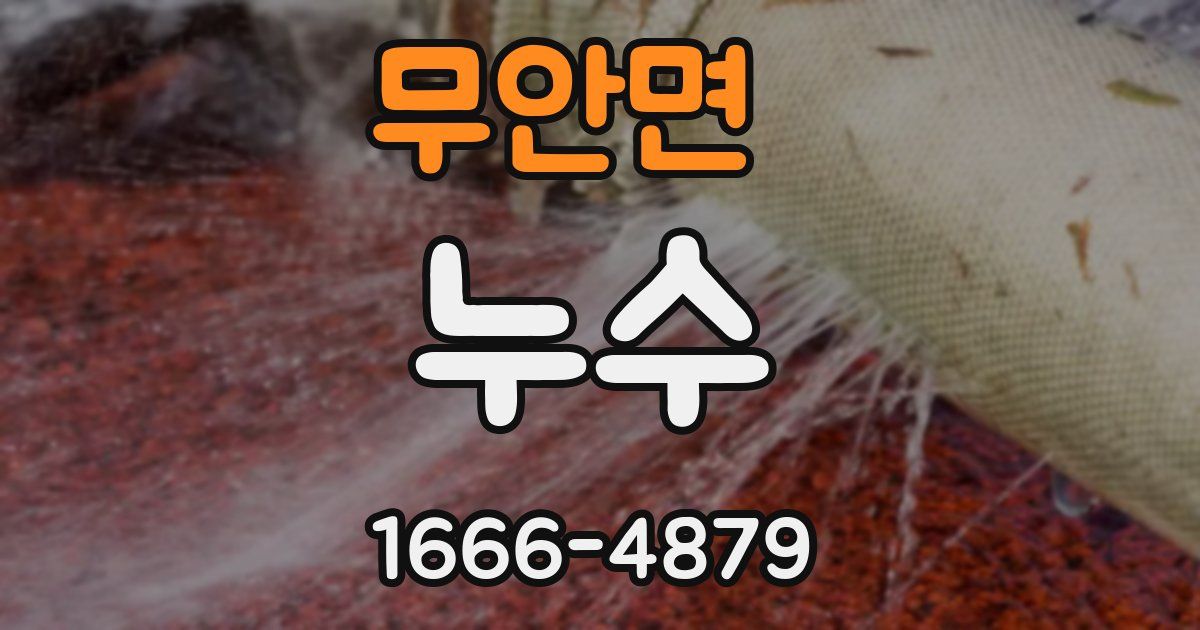 무안면 누수