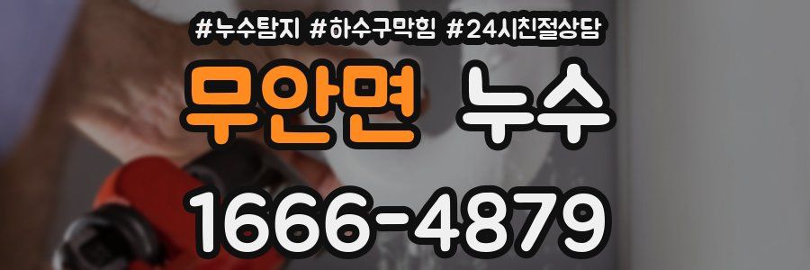 무안면 누수