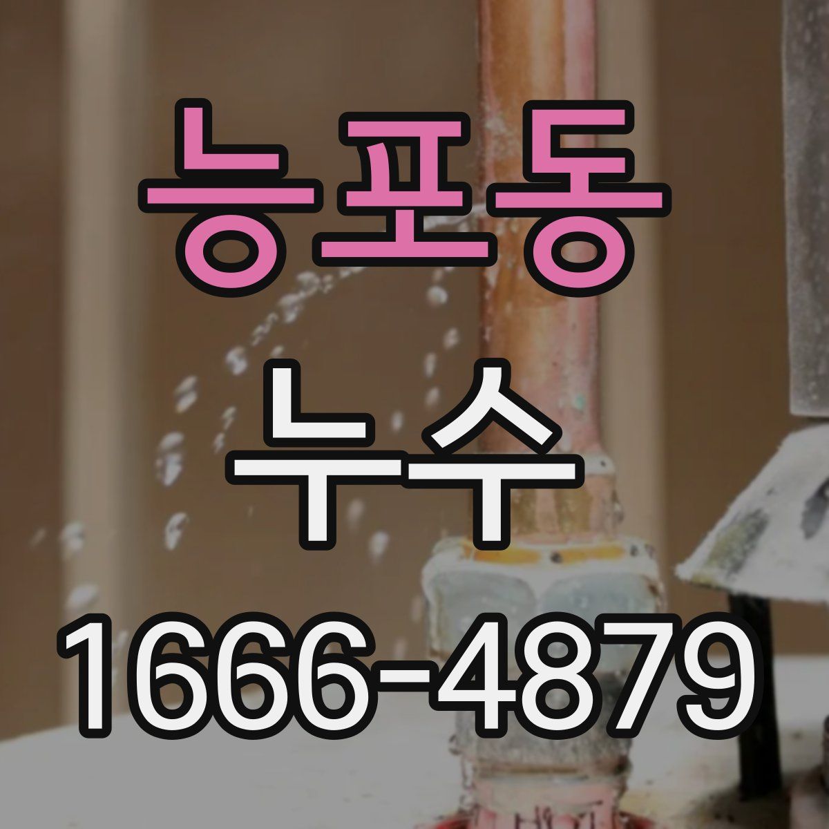 능포동 누수