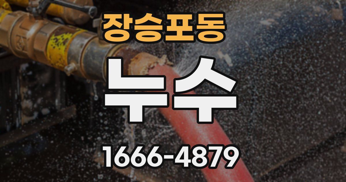 장승포동 누수
