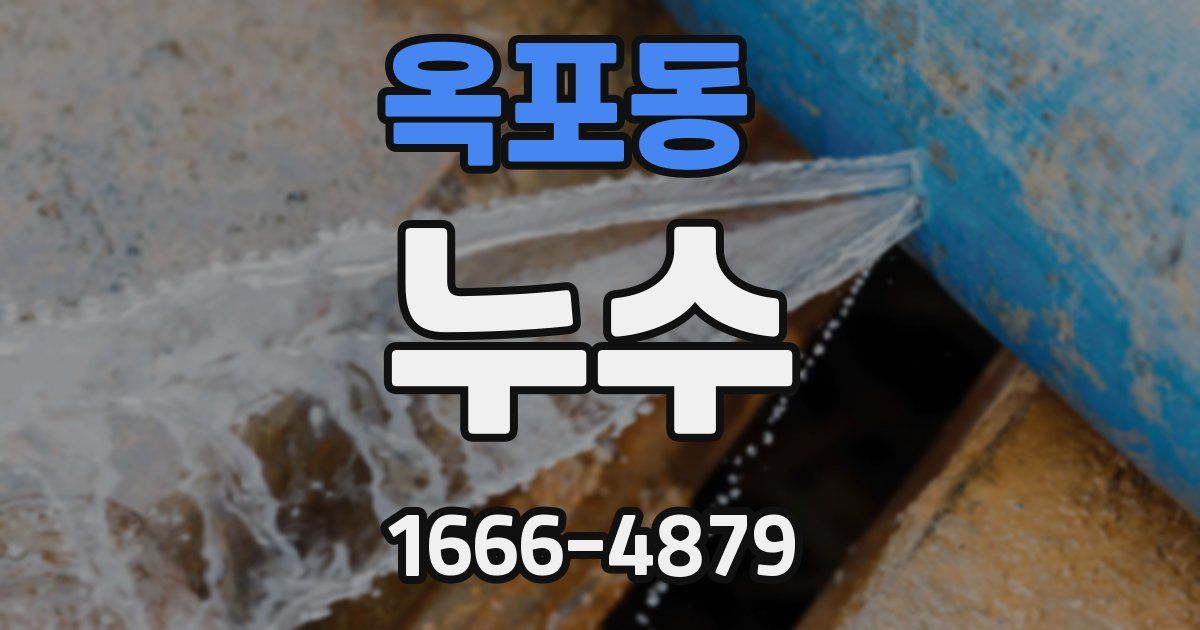옥포동 누수