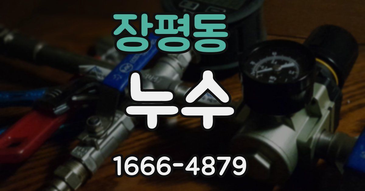 장평동 누수