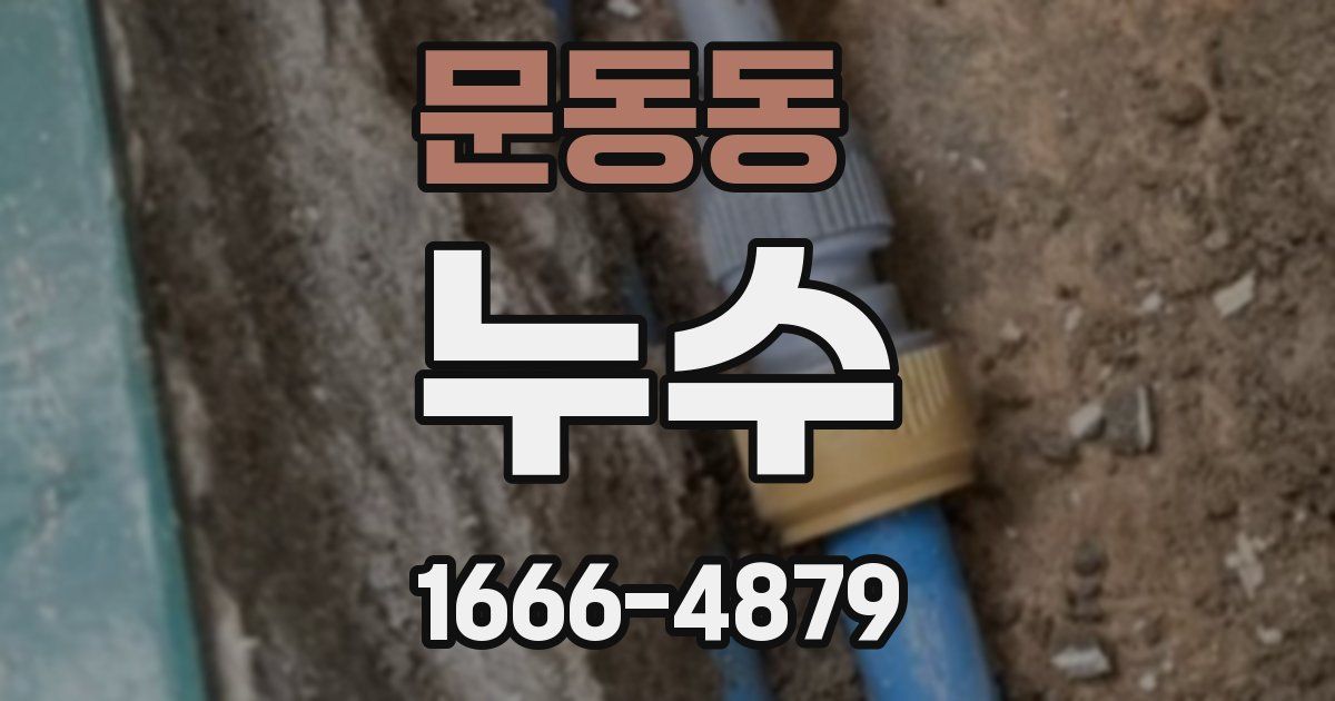 문동동 누수