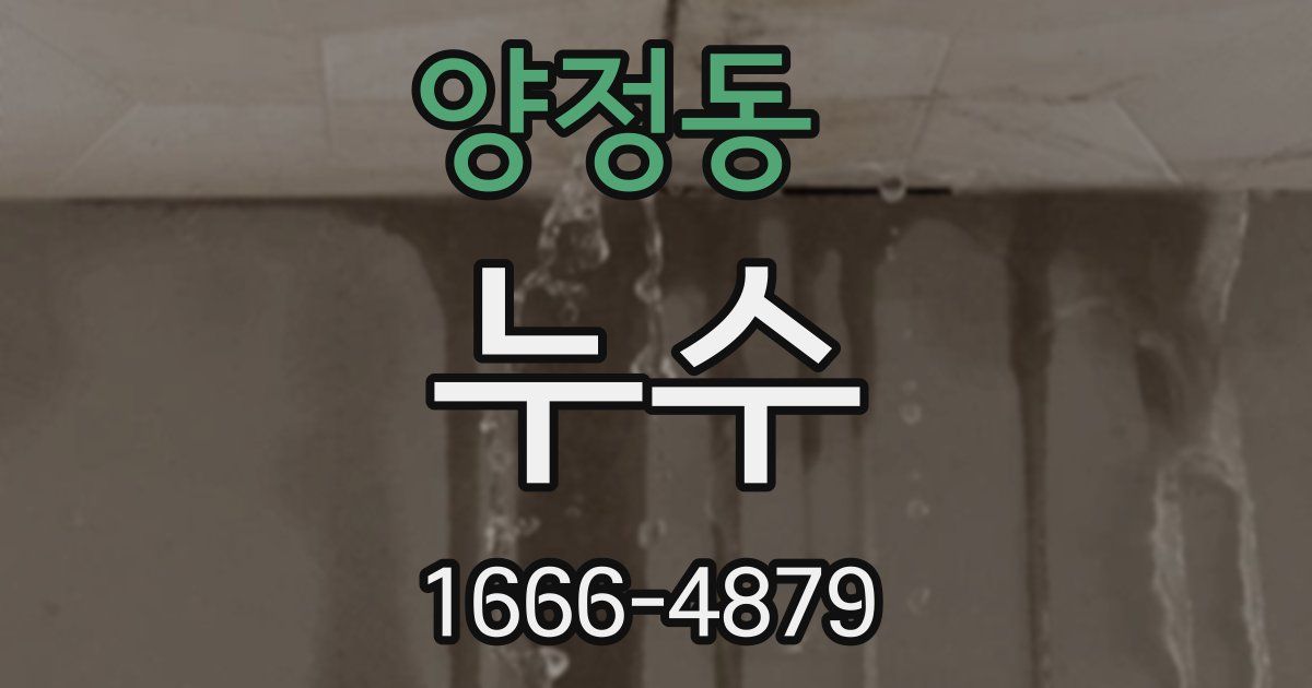 양정동 누수