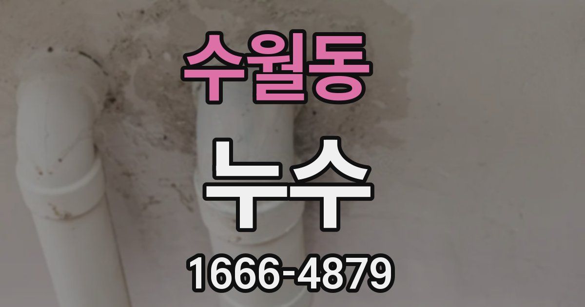 수월동 누수