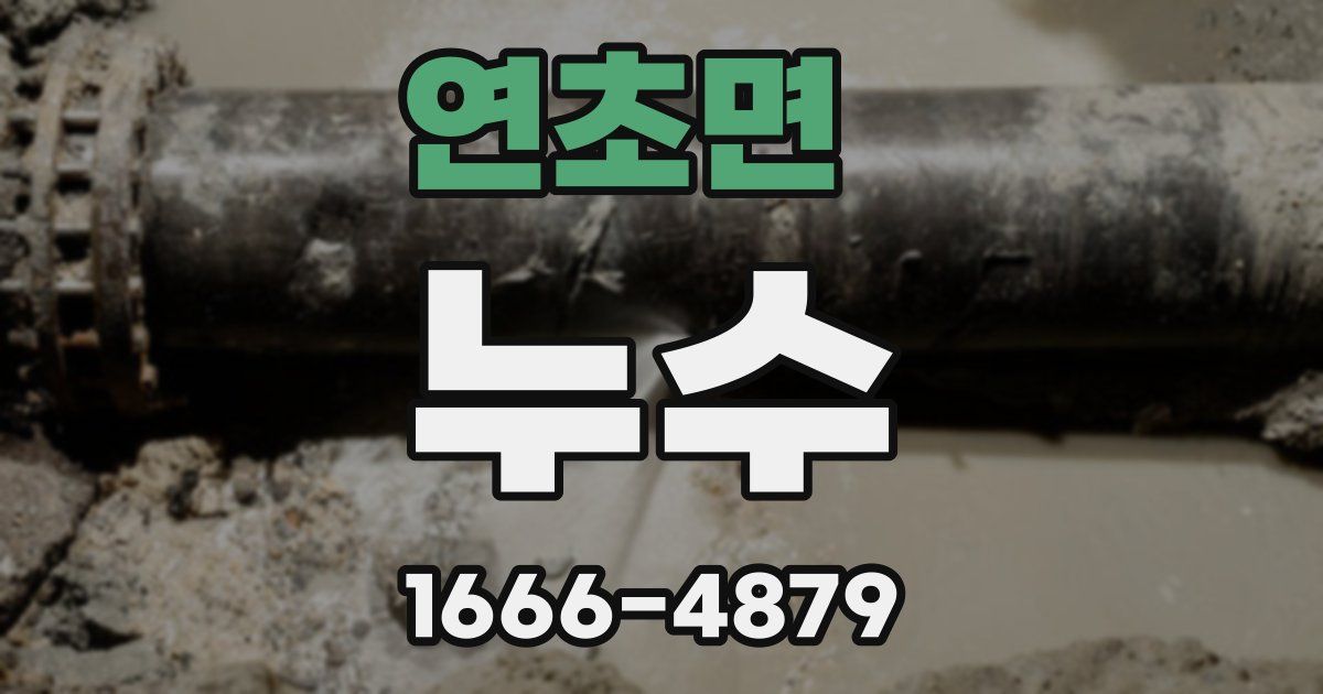 연초면 누수