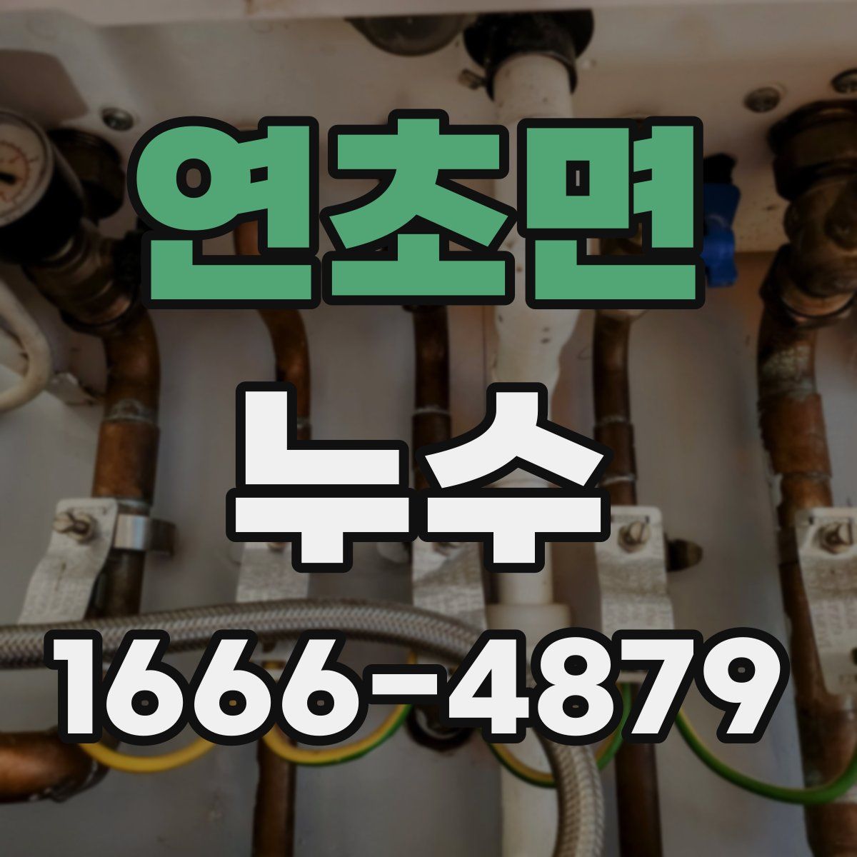 연초면 누수