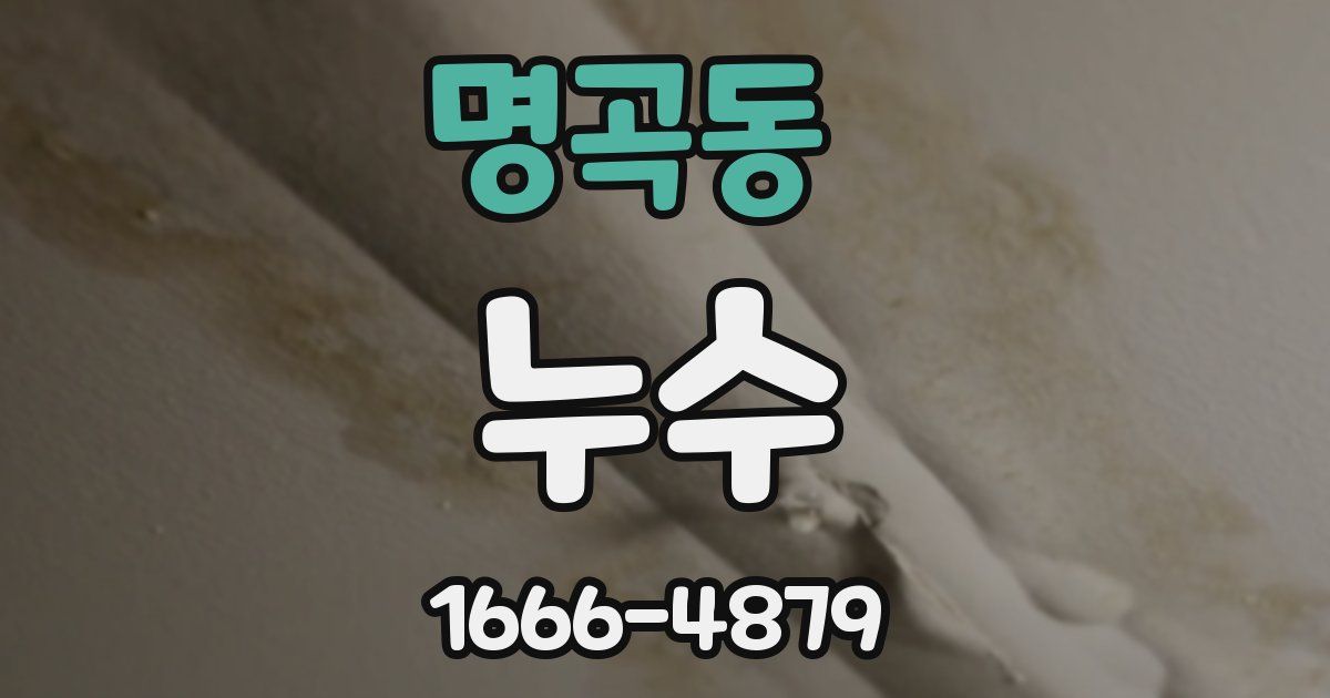 명곡동 누수