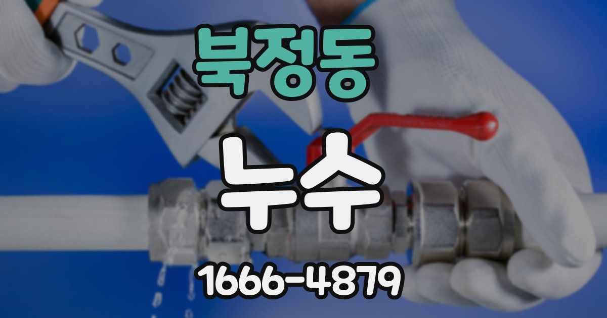 북정동 누수