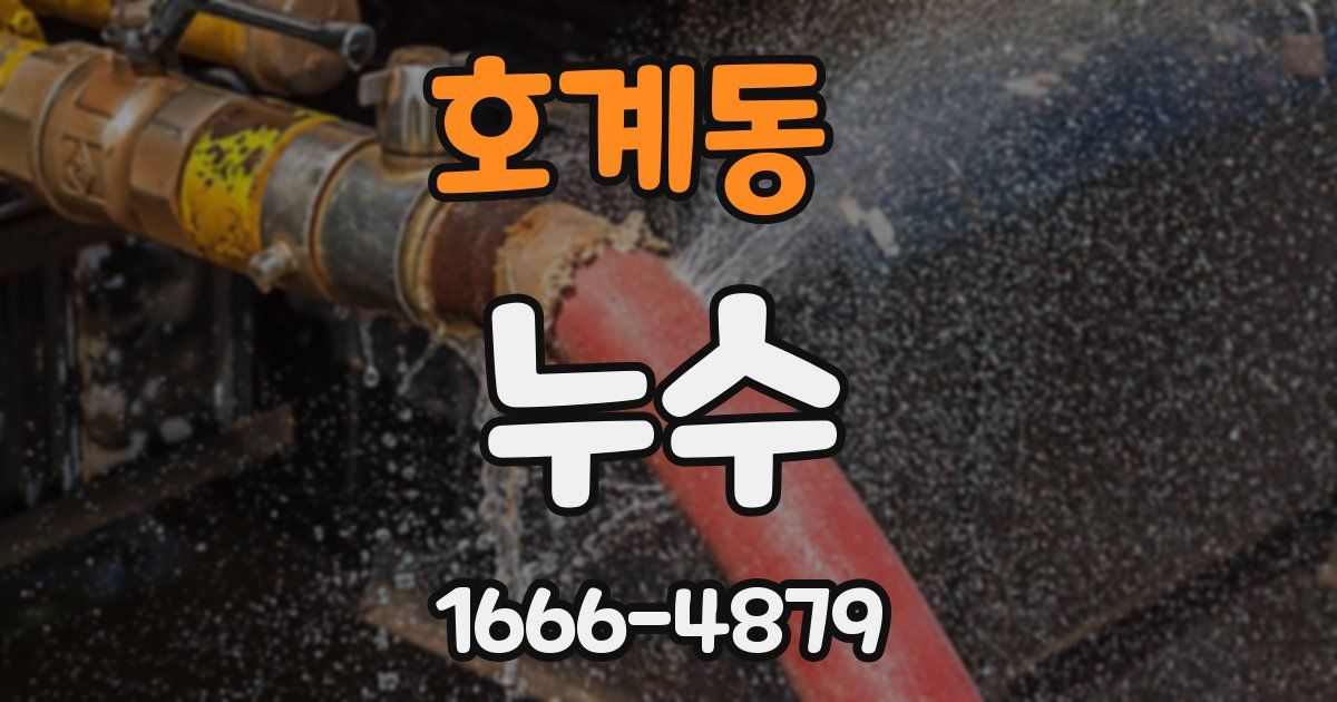 호계동 누수