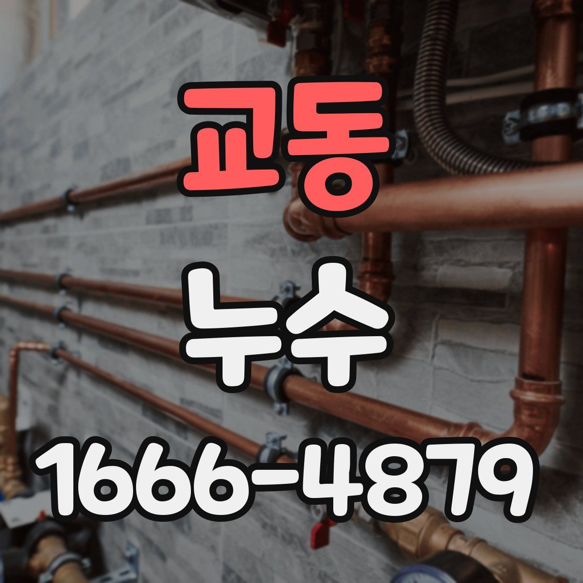 교동 누수