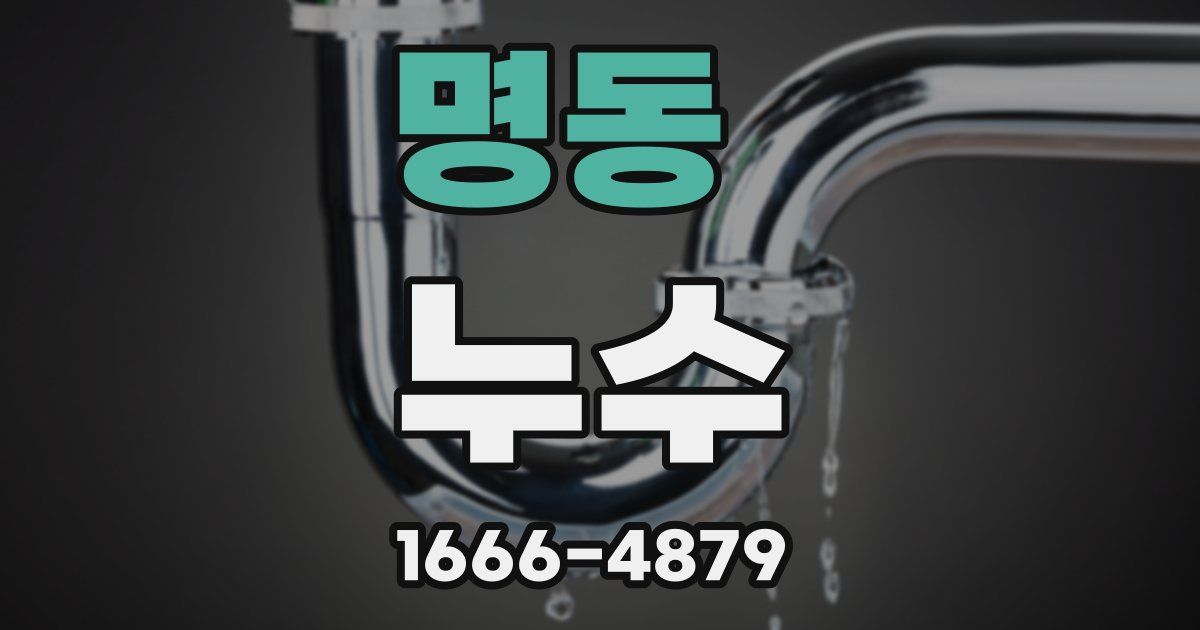 명동 누수
