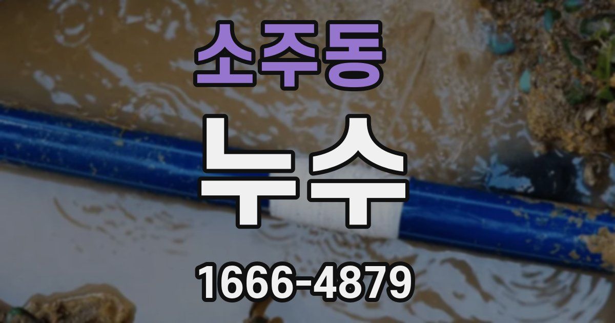 소주동 누수