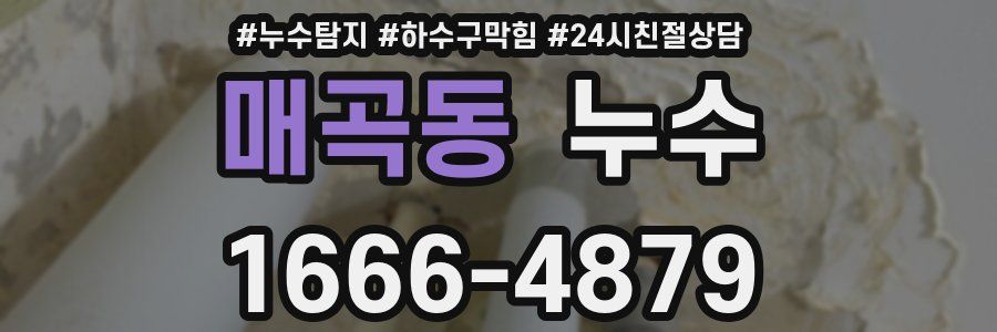 매곡동 누수