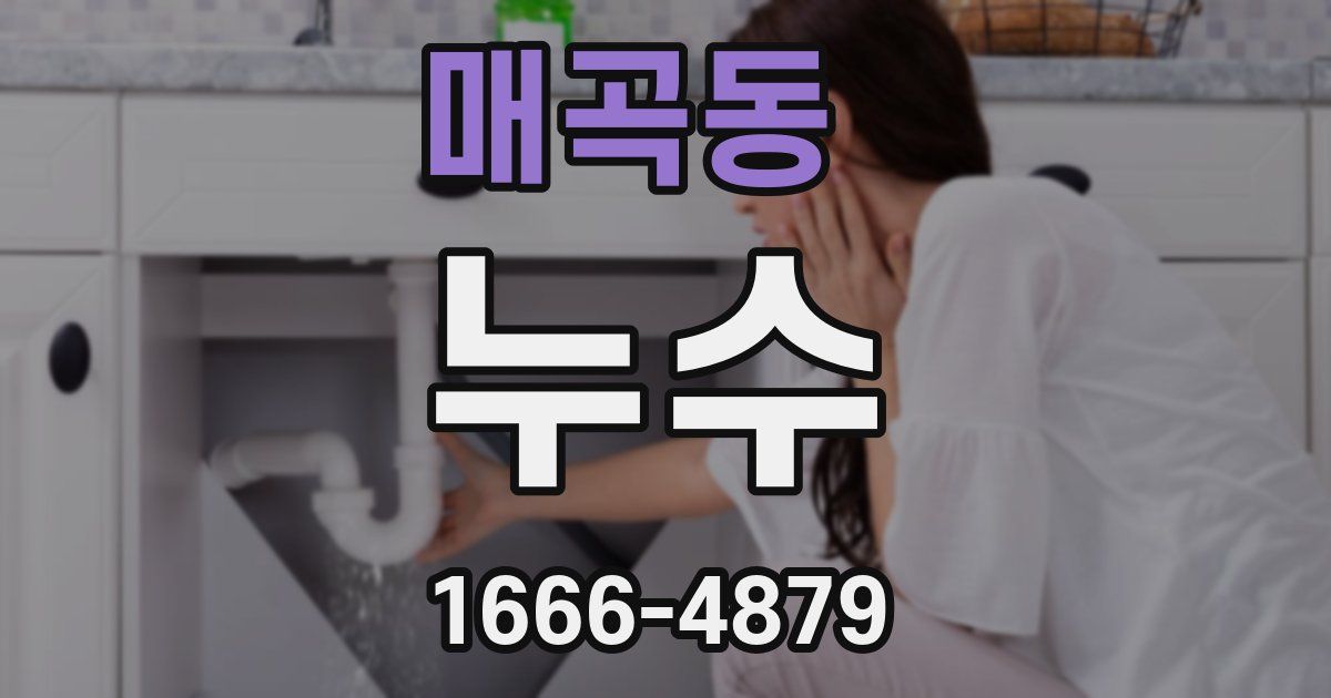 매곡동 누수